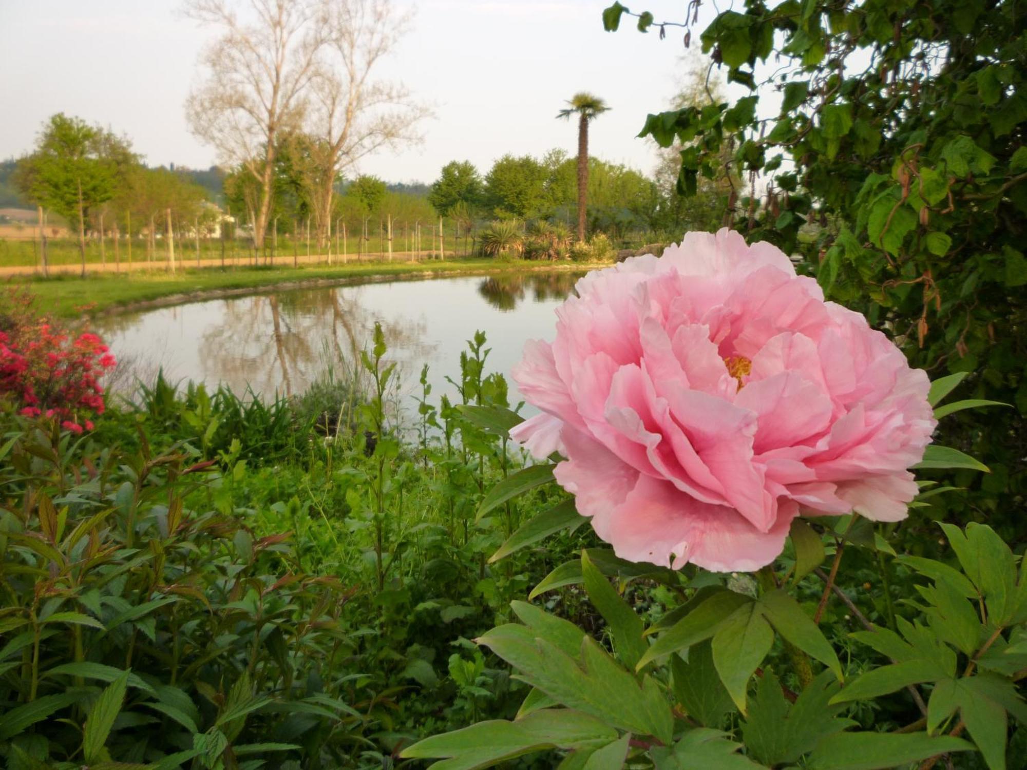 Country House Barone D'Asolo Hostal Exterior foto